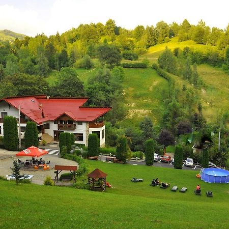 Pensiunea Eladi Borşa Exterior foto