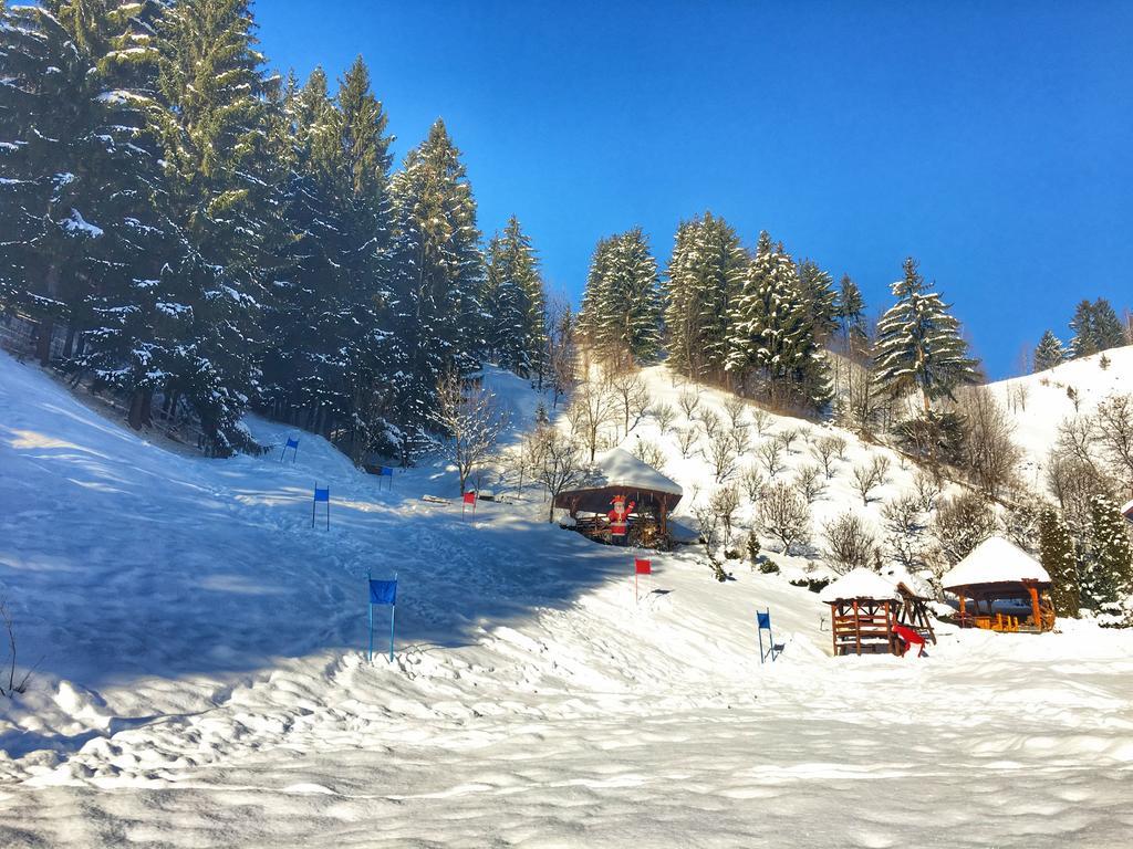 Pensiunea Eladi Borşa Exterior foto