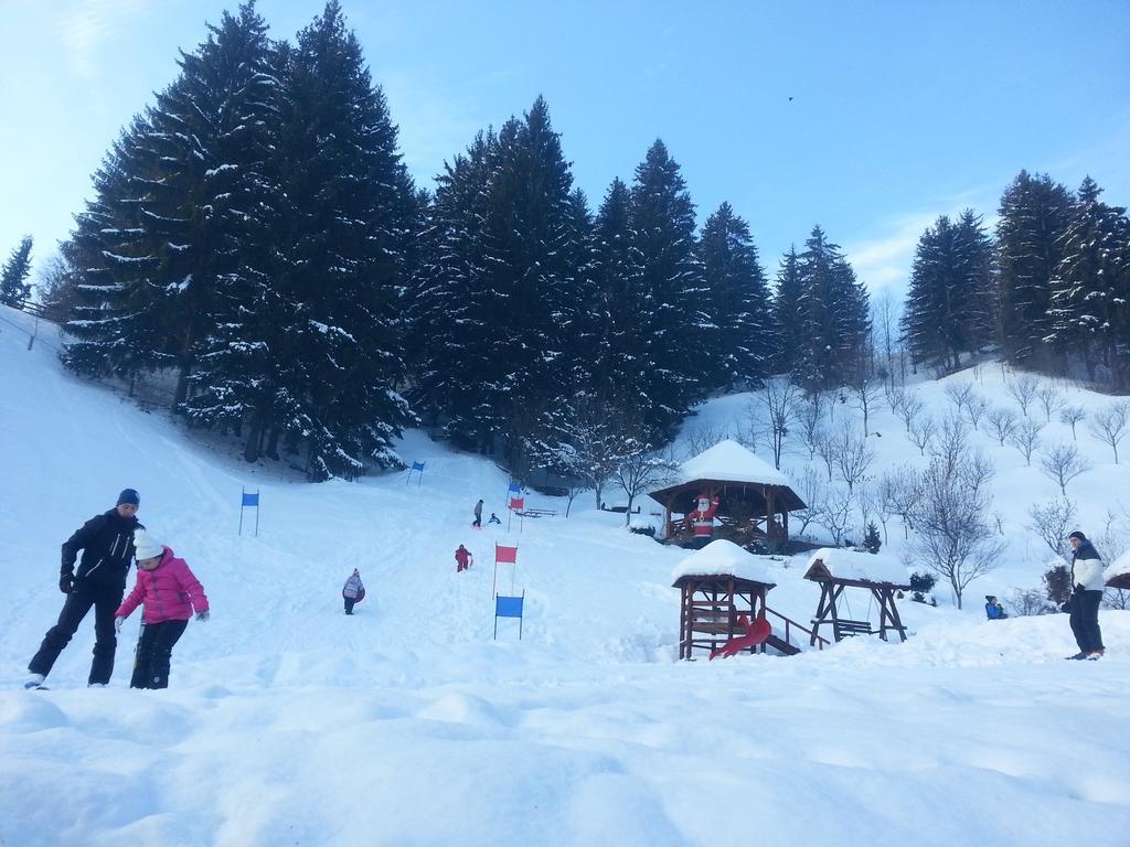 Pensiunea Eladi Borşa Exterior foto