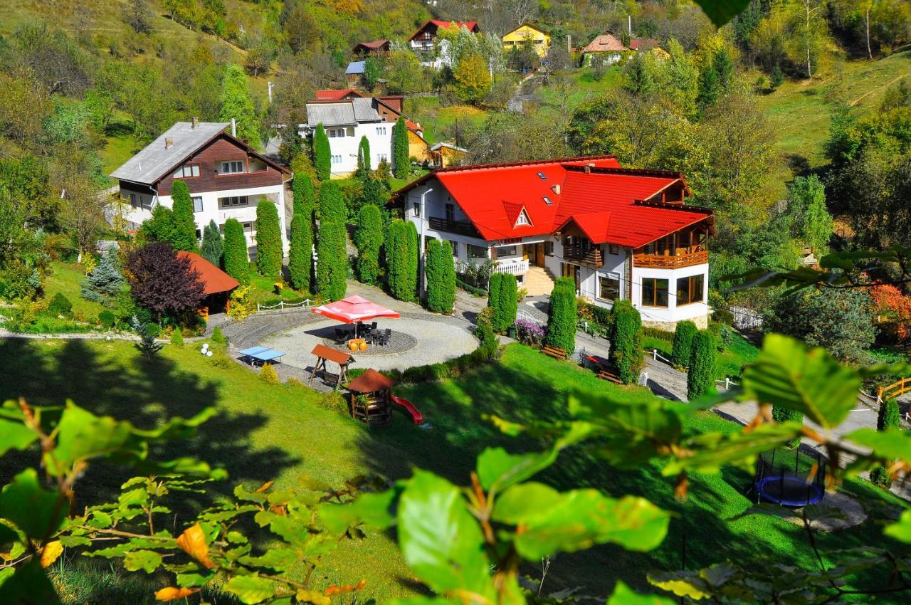 Pensiunea Eladi Borşa Exterior foto