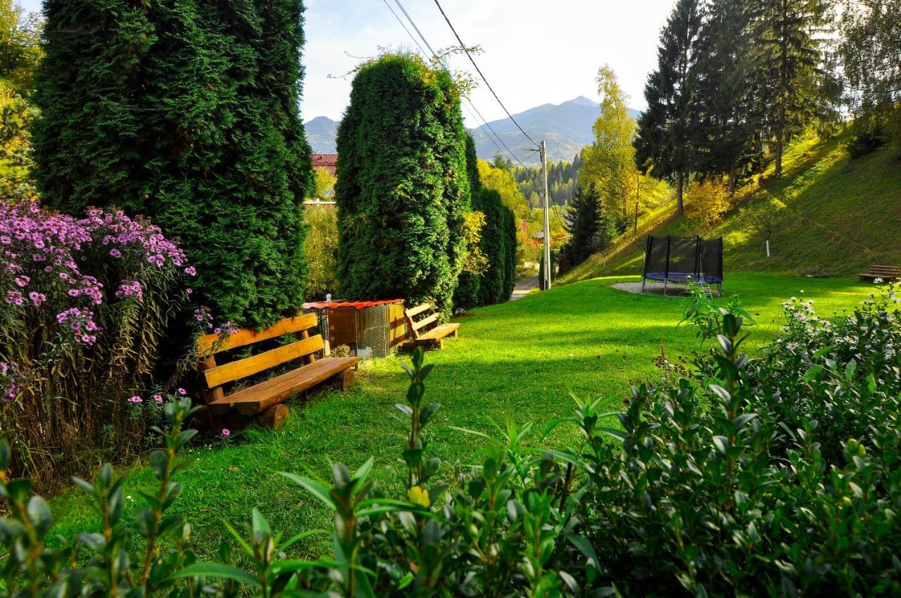 Pensiunea Eladi Borşa Exterior foto